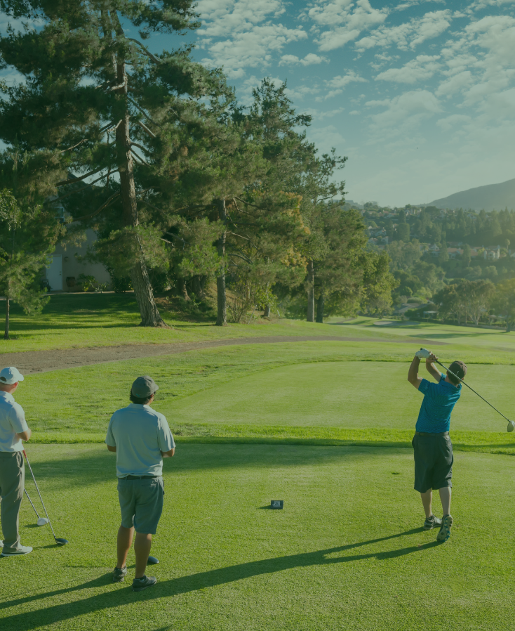 golfers web img